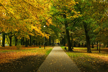 Naklejka premium Autumn Park
