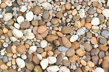 Many Different Pebbles