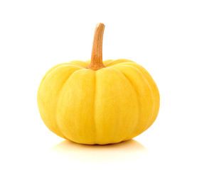 pumpkin on white background
