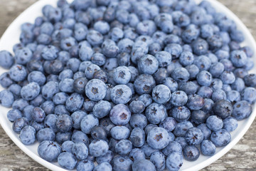 Plate with blueberries
