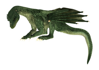 Fototapeta premium Fantasy Dragon