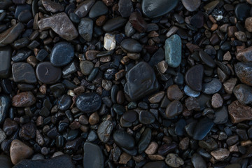 texture of wet sea stones