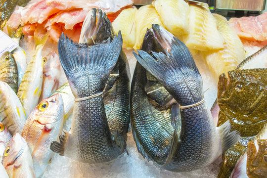 pesci al mercato