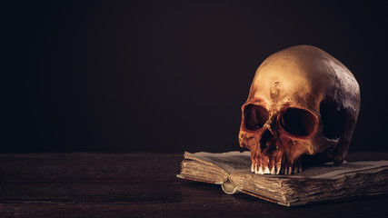 Human skull on an open ancient book - obrazy, fototapety, plakaty