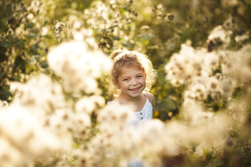 Happy cheerful little girl among wildflowers