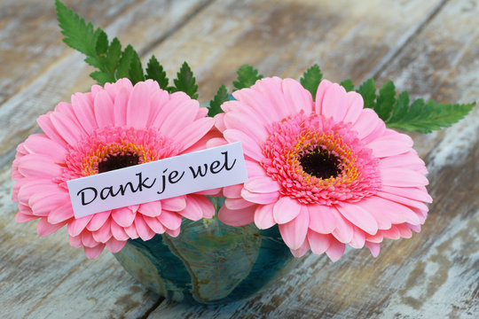 "Dank Je Wel" Images – Browse 43 Stock Photos, Vectors, and Video