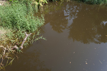 Waste water pond