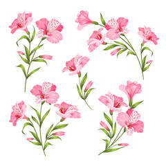Fototapeta premium Flower branches set.