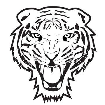 Tiger outline illustration vector