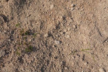 Red dirt (soil) background or texture.