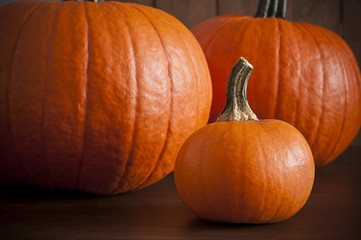Photo of pumpkins on wooden background. Warm natural light