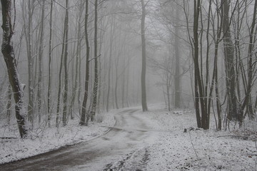 Winterwanderweg