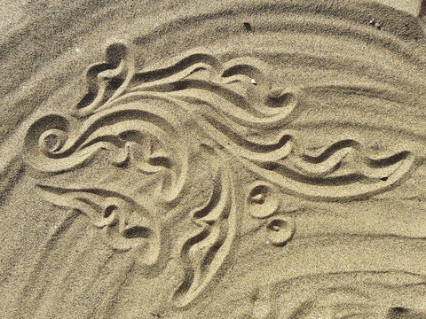 floral ornament design on the sand