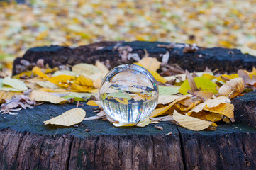 Glass transparent ball with yellow autumn leaves background and wooden surface. Soft focus. With empty space for text