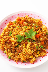 ドライカレーライス 