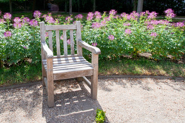 Tranquil garden