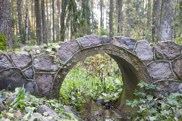 fabulous bridge in the wood