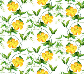 Yellow flower bindweed. Repeating floral pattern. Watercolor 