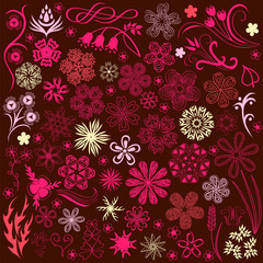 Flowers. Set elements for decor.