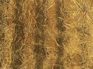 Plow field texture