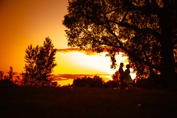 Romantic couple standing and kissing on background summer meadow sunset