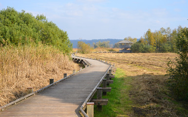 Naturpfad mit Vogelbeobachtungsstation