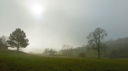Fototapeta na wymiar Landschaft im Nebel