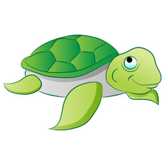 Sea Turtle