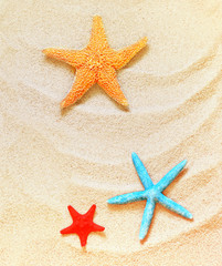 Red, blue and yellow starfish on the sandy beach