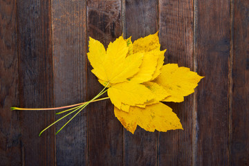 Naklejka na ściany i meble Autumn leaves over wooden