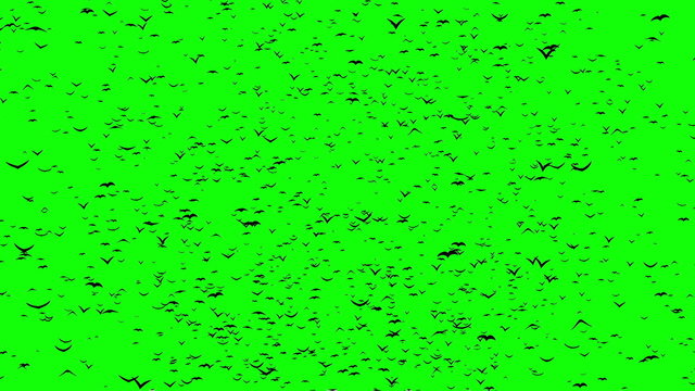 A flock of flying birds forms the grave crosses, green screen.