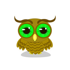 isolated owl vector illustration