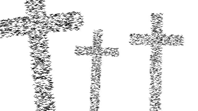 A .flock of flying birds forms the grave crosses, looping animation
