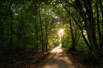 Naklejka premium Herbst
