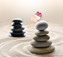 Butterfly and stones balance