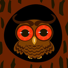 owl in the hollow night