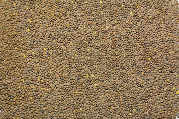 Lentils food background