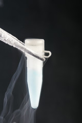 scientist holding  cryosample on liquid nitrogen bank.  Sperm and Stem Cells  Bank Storage