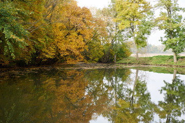 Obraz premium autumn