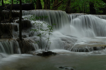 Deep forest waterfall