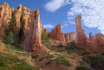 Queen's Garden Hoodoos