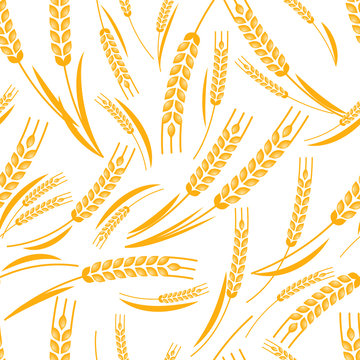 Vector seamless pattern with golden ripe ear of wheat.
