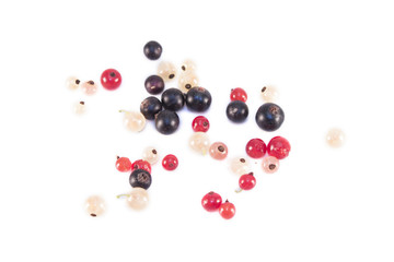 Currants isolated