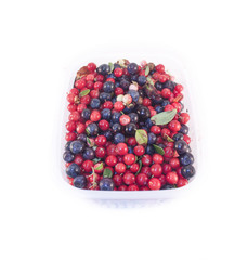 Lingonberries and blueberries isolated