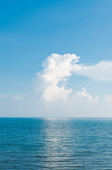 Fototapeta premium blue sea