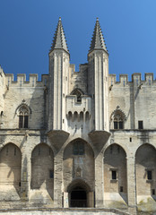 Fototapeta premium Avignon (Provence, France)