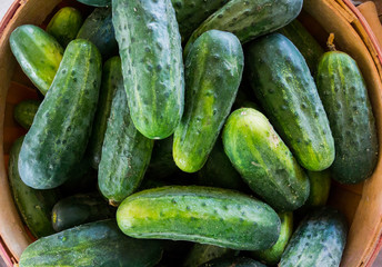 Close up of cucumbers in small wooden basket