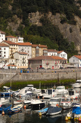 Fototapeta na wymiar harbor of Elantxobe, Basque Contry Spain