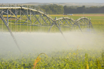 Farm Pivot Irrigation System Waters Crop in a Farmer's Field
