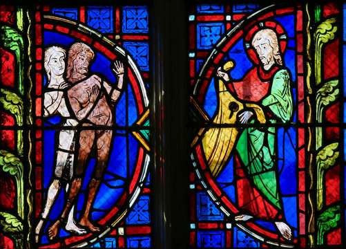 Adam And Eve - Stained Glass In Tours Cathedral